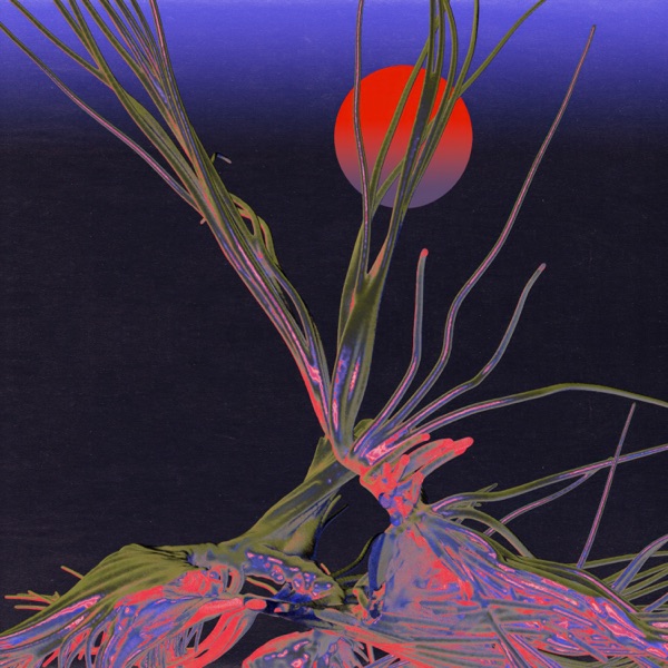 A Slow Descent - Single