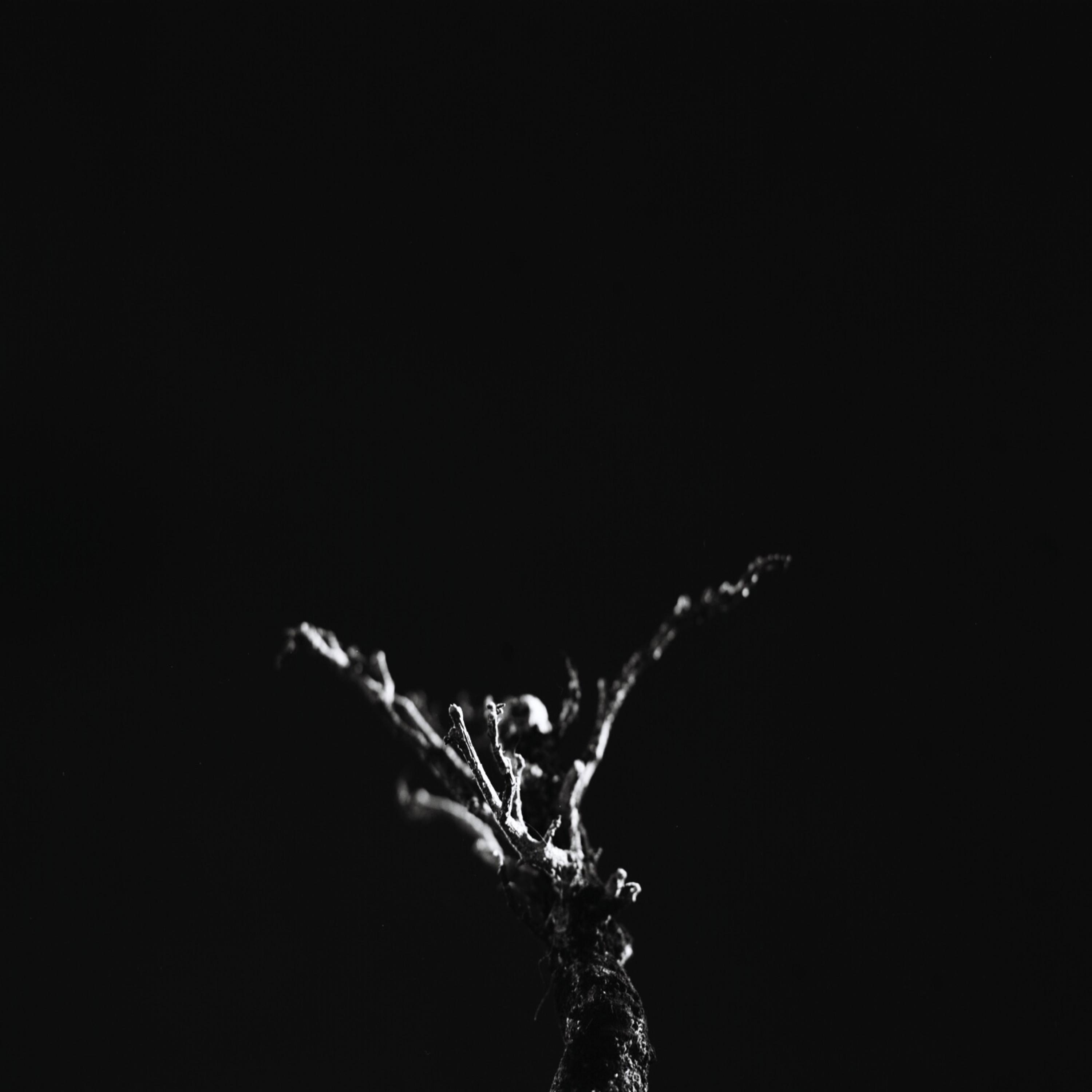 Concept One - Single