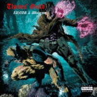 Thieves' Guild - LUNAR.