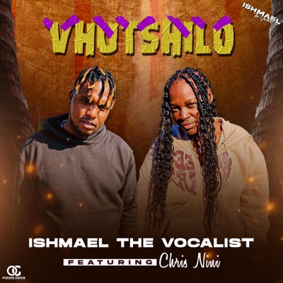 VHUTSHILO (feat. Chris nini) - Single