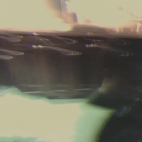 sorry, i zoned out for a minute - Single - Freddy River