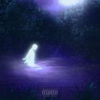 evolution (vol. 2) - Fxrever Lxst