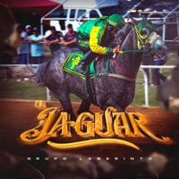 El Jaguar - Single - Grupo Laberinto