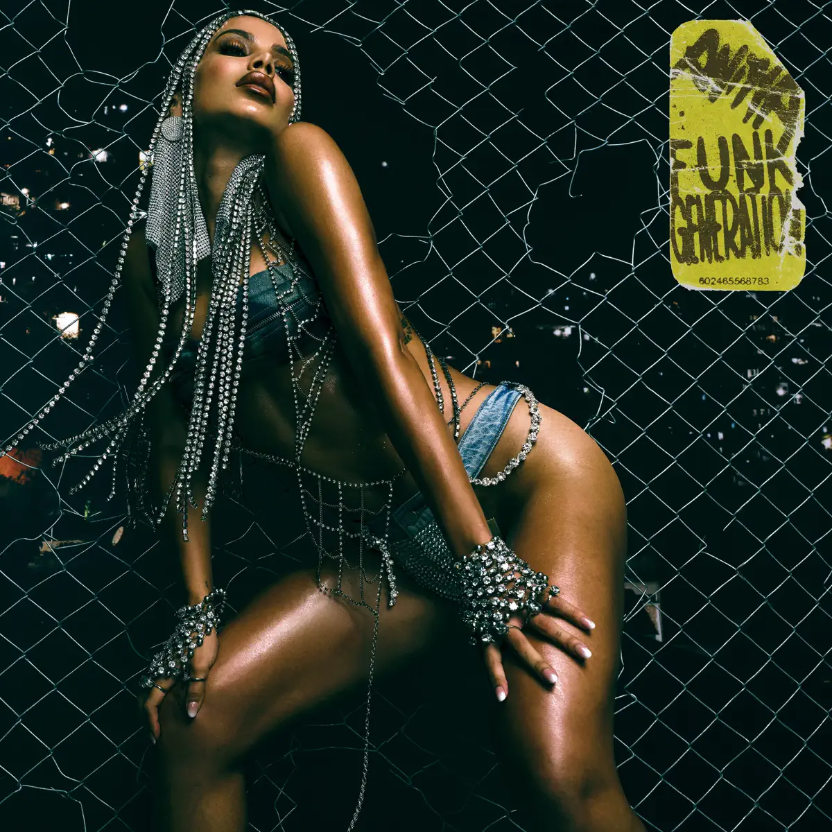 Anitta - Funk Generation (2024) [iTunes Plus AAC M4A]-新房子