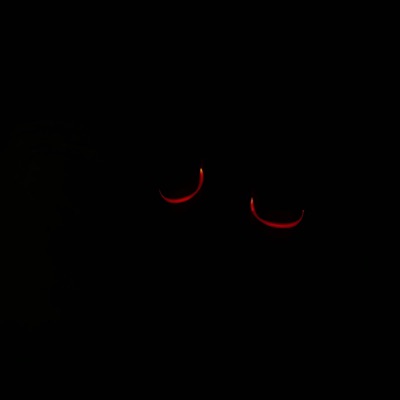 Big bootie freaks feat.(876joe) - Single