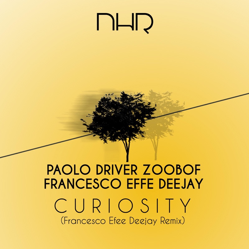 Curiosity (francesco effe deejay curiosity remix)