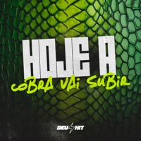 Hoje a Cobra Vai Subir (feat. DJ LUD) - Single - DJ Biel Beats, Mc Meduza & MC CAROL 011