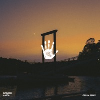 A Vida (Geluk Remix) - Single - Dodger & Geluk