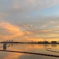 kenobi - Single - Vert