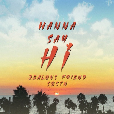 Wanna Say Hi - Single