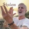 SHALOM - MANUEL MEDINA lyrics
