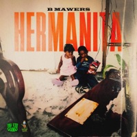 HERMANITA - Single - B mawers