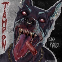 Tampon - Single - ODD PRINCE