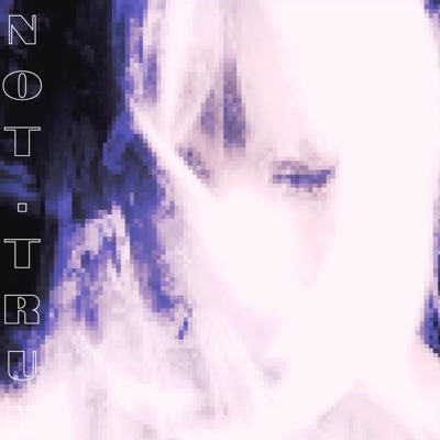 Not True (feat. Shirayuki) [Sped up] - Single