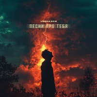 Песни про тебя - Single - VESNA305