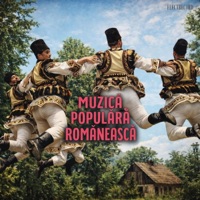 Muzica Populara Romaneasca - Apa trece pietrele raman (Sava Negrean Brudascu)