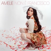 NON E' FRANCESCO
