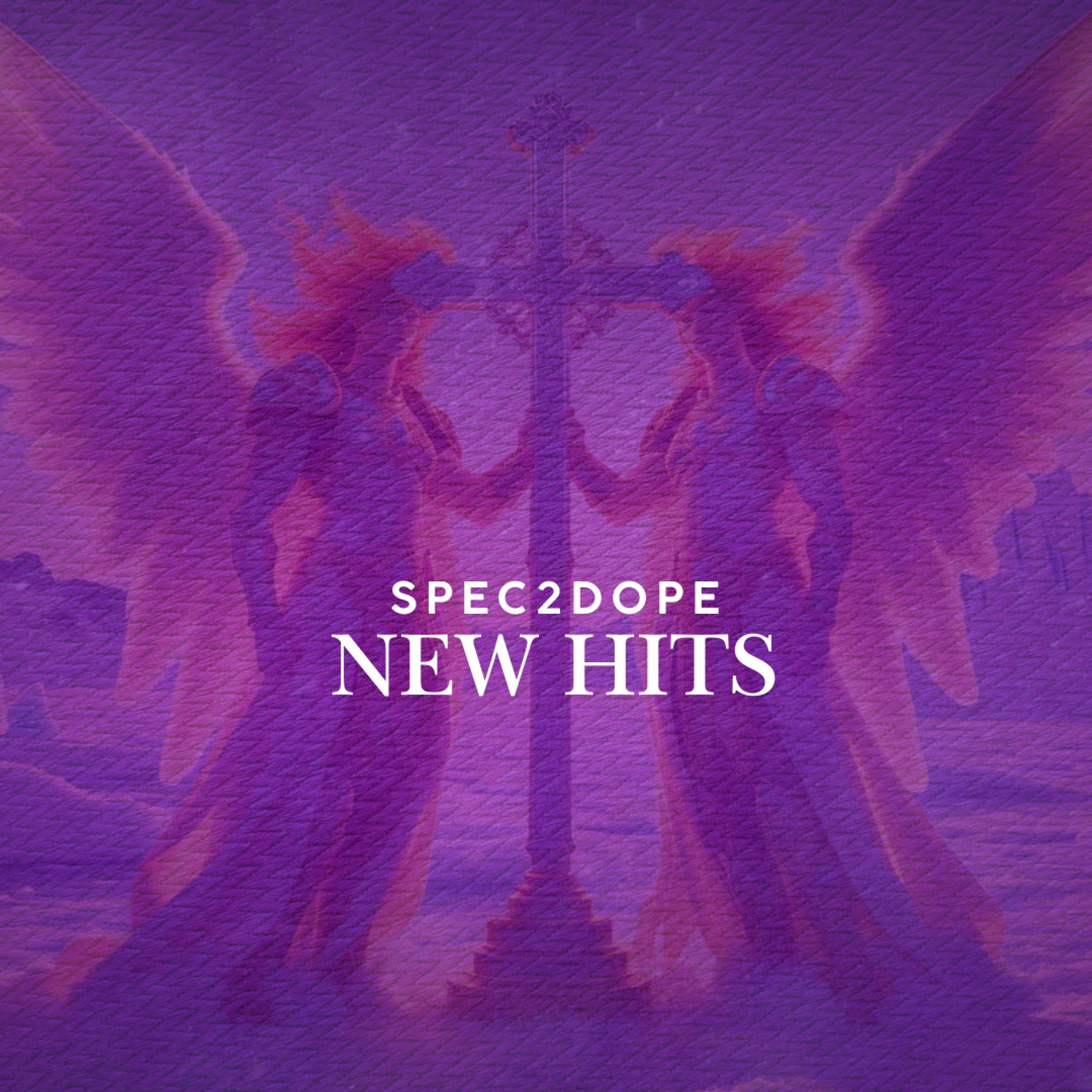 New Hits Slowed - Single