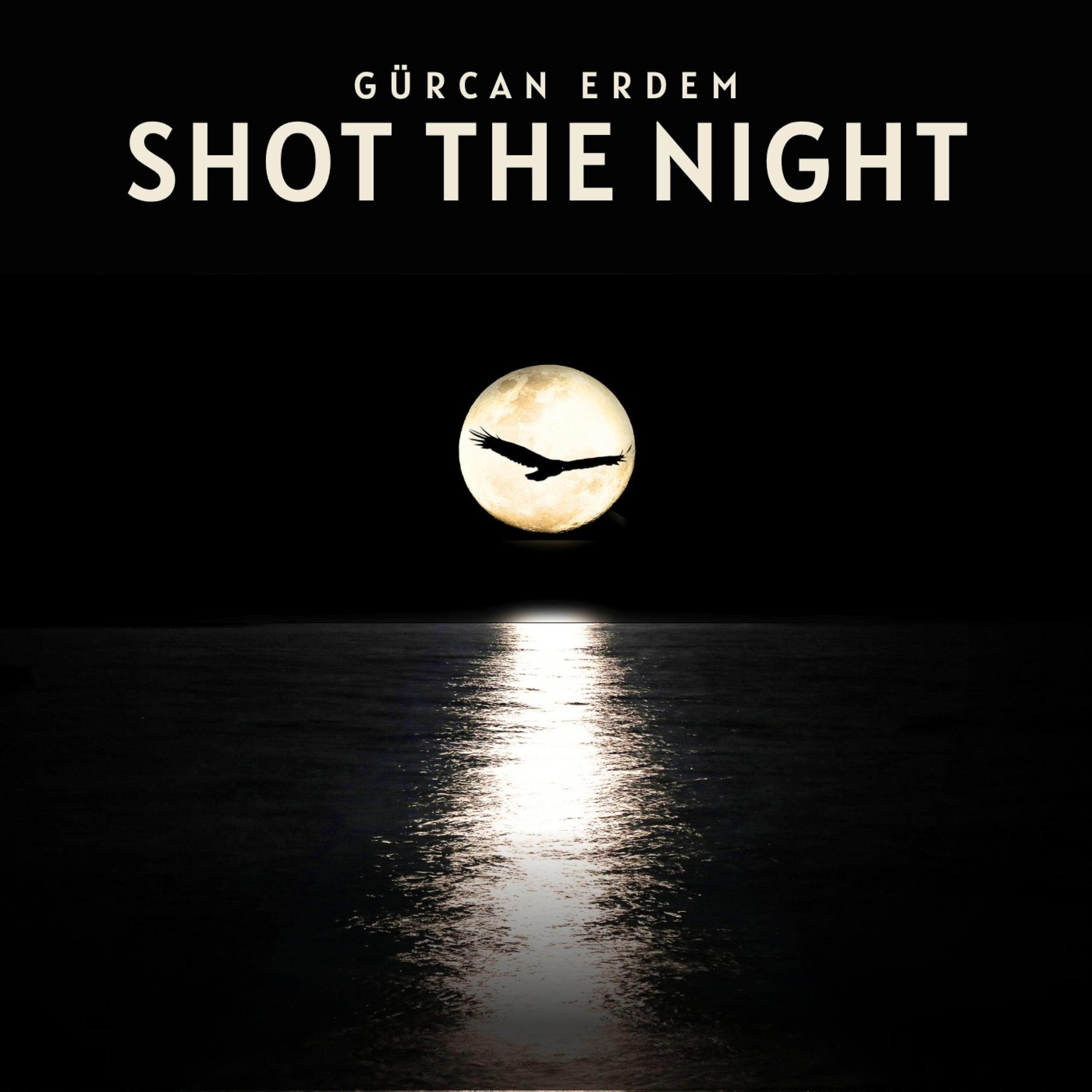 Shot The Night - Single