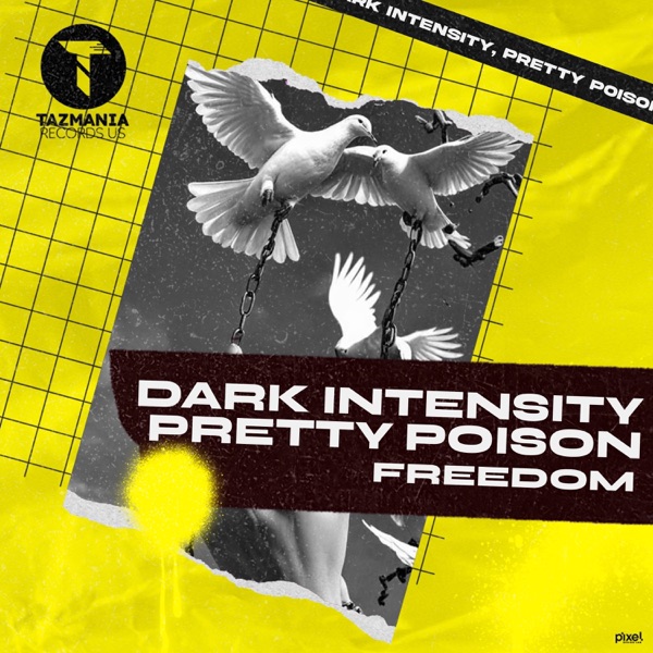 Freedom - Single