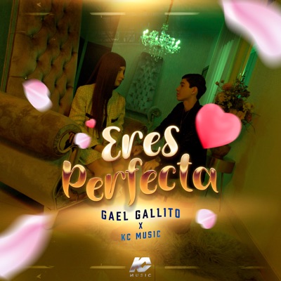 Eres Perfecta - Single