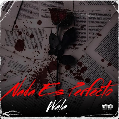 Nada Es Perfecto (feat. Wala) - Single