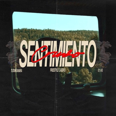 Sentimiento Crudo - Single