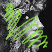 Blackbird (feat. Katinda) - Single - Studio Deep