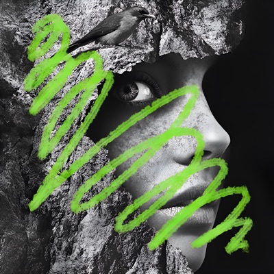 Blackbird (feat. Katinda) - Single