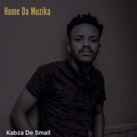 Album cover for Kabza De Small by Hume Da Muzika