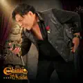 Chinito del ande