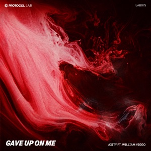 Gave up on Me (feat. William Viggo) [Extended Mix]