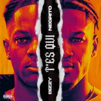 T'es qui - Single - Bizzy & Negrito