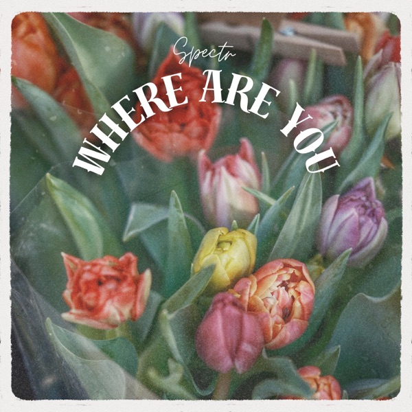 Where Are You
