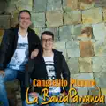 Cangrejito playero
