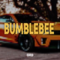 BUMBLEBEE - Single - GoldTOOTH