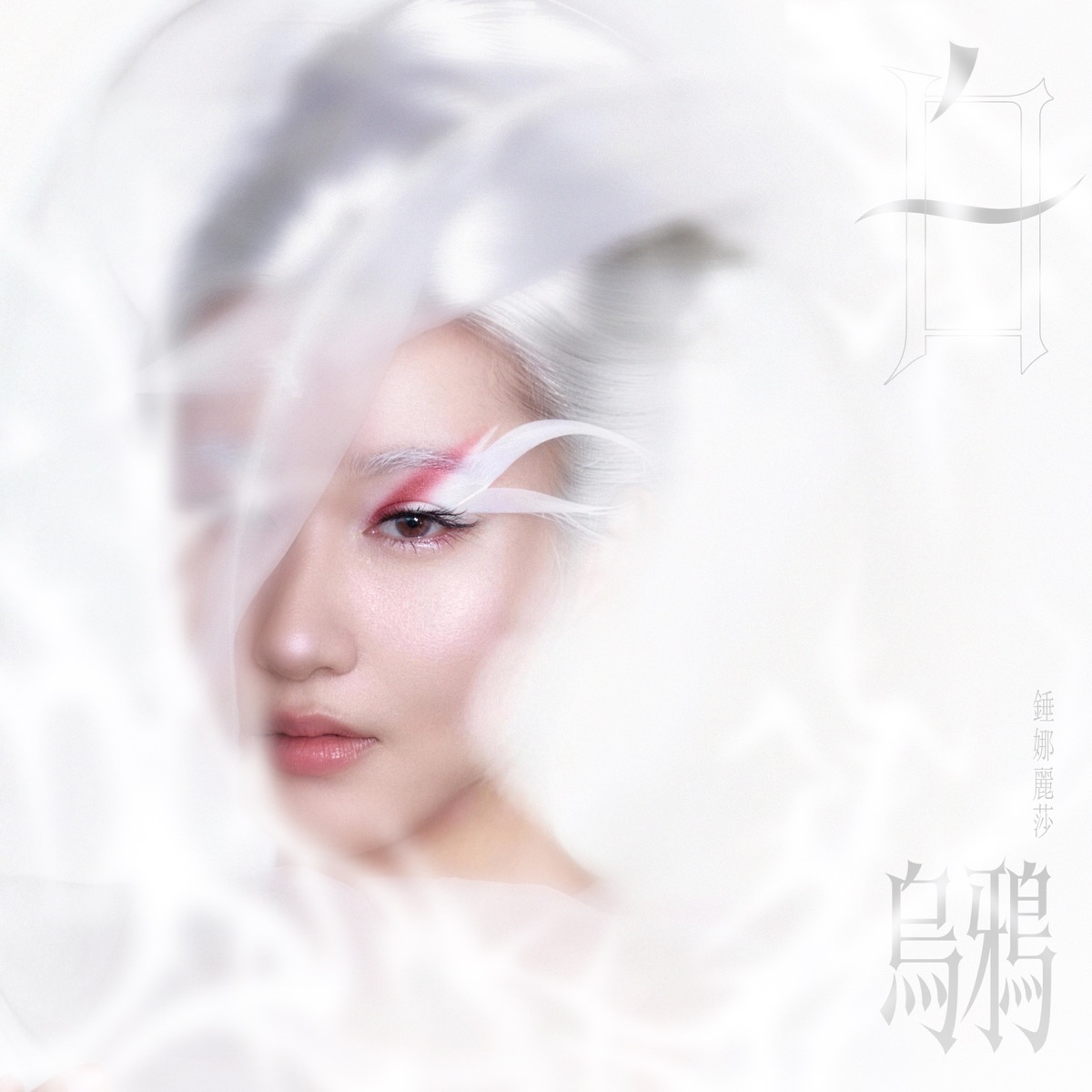 锤娜丽莎 - 白烏鴉 - Single (2026) [iTunes Plus AAC M4A]-新房子