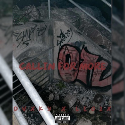 Callin For More - Single
