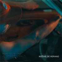NOCHE DE VERANO (feat. Gordo Larvo & Chala) - Single - REENOVENTO & abu land
