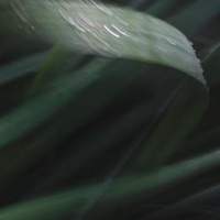 This Feeling - Single - Echolocation