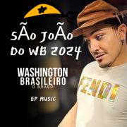 Remelexo - Washington Brasileiro