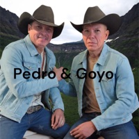 Alegre y parrandero - Single - Pedro & Goyo