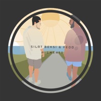 Pigments - Silat Beksi & FEDO