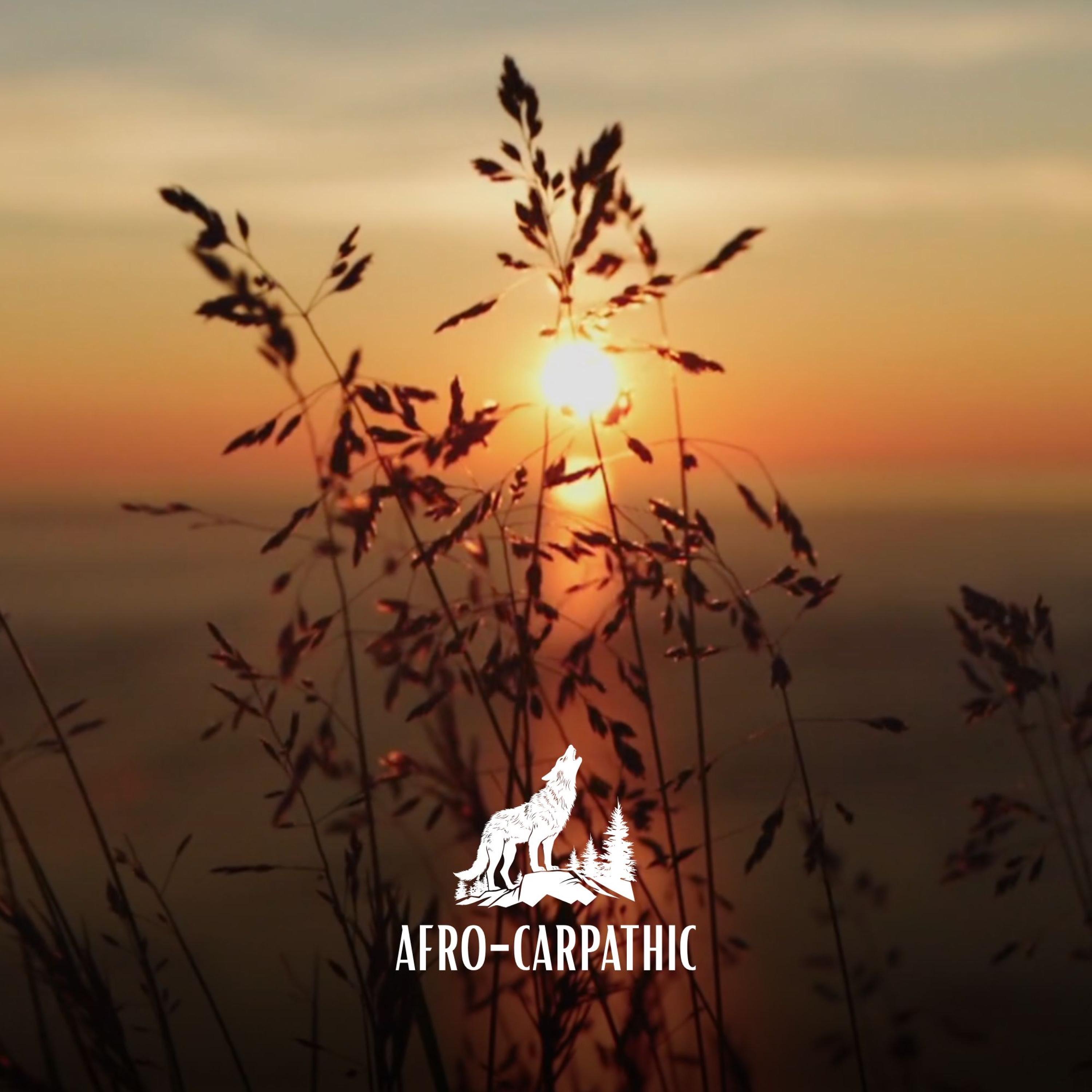 Spune-mi vântule, ce știi - Single