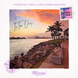 In Too Deep Horbatso, Lind & Luke James Shaffer