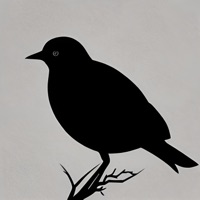 Птица вольная - Single - Фирстов & Rise