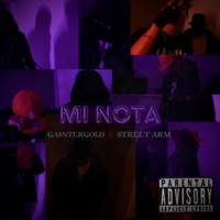 Mi Nota (feat. GansterGold) - Single - Street Arm