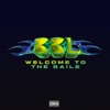 Welcome To The Baile (feat. Vitto) - Single