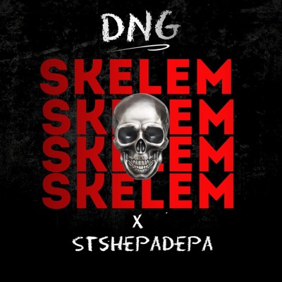 Skelem (feat. Stshepadepa) - Single