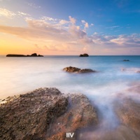 High - Single - 2 vive